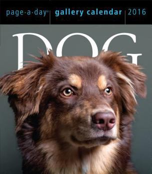Calendar Dog 2016 Gallery Calendar Book