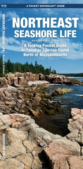 Northeastern Seashore Life: A Waterproof Folding Guide to Familiar Animals & Plants North of Massachusetts