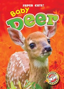 Library Binding Baby Deer Book