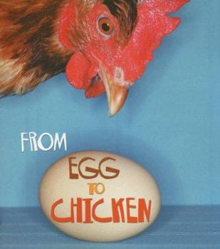 From Egg to Chicken (Young Explorer: How Living Things Grow) (Young Explorer: How Living Things Grow) - Book  of the How Living Things Grow