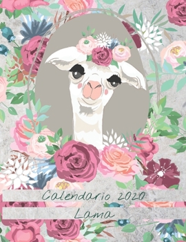 Paperback Calendario 2020 Lama: Mensualmente 2020 Calendario Ilustrado de Llamas con Fechas y Fechas de Grandes Imágenes, Espacios para Registrar Ingr [Spanish] Book