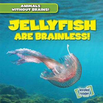 Paperback Jellyfish Are Brainless! Book