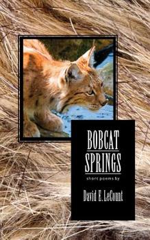 Paperback Bobcat Springs Book
