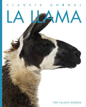 Paperback La Llama [Spanish] Book