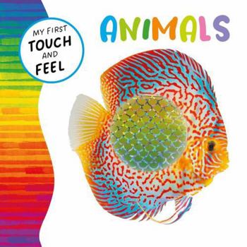 My First Touch and Feel: Animals
