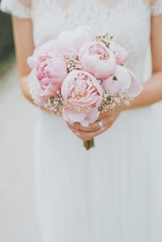 Paperback Ilusionada [Spanish] Book