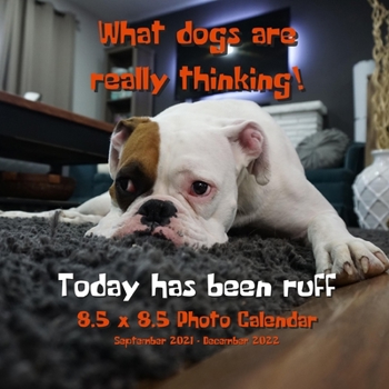 Paperback What Dogs Are Really Thinking! 8.5 X 8.5 Calendar September 2021 -December 2022: Today Has Been Ruff - Humorous Dog Calendar - Funny Dog Gift for Dog Book