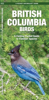 British Columbia Birds : An Introduction to Familiar Species