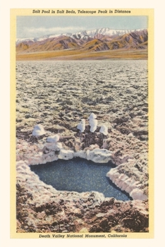 Paperback The Vintage Journal Salt Pool, Death Valley Book