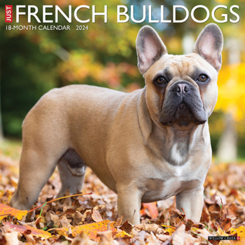 Calendar Just French Bulldogs 2024 12 X 12 Wall Calendar Book