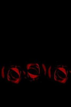 Paperback And She Finally Learned Book