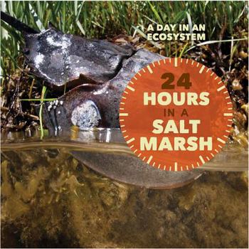 24 Hours in a Salt Marsh - Book  of the A Day in an Ecosystem
