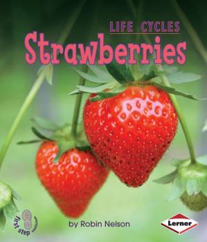 Strawberries - Book  of the First Step Nonfiction
