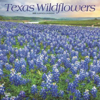 Calendar Texas Wildflowers 2025 12 X 24 Inch Monthly Square Wall Calendar Plastic-Free Book