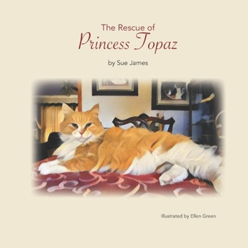 Paperback The Rescue of Princess Topaz Book