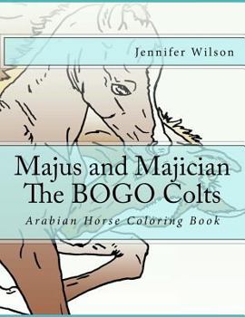Paperback Majus and Majician Twin Colts Coloring Book: Horse Coloring Fun Book