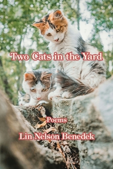 Paperback Two Cats in the Yard Book