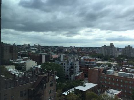 Paperback The Crime Boss Book