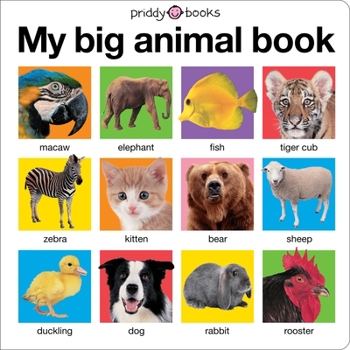 Board book My Big Animal Book