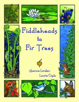 Hardcover Fiddleheads to Fir Trees Book