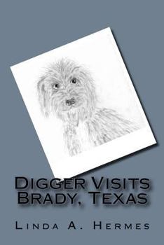 Paperback Digger Visits Brady, Texas Book