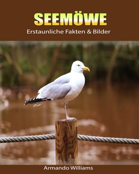 Paperback Seem?we: Erstaunliche Fakten & Bilder [German] Book