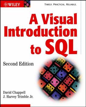 Paperback A Visual Introduction to SQL Book