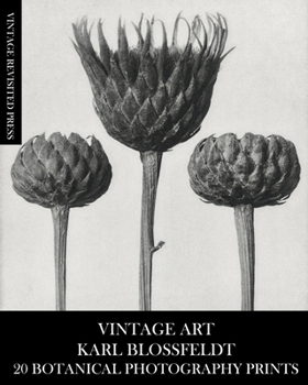 Paperback Vintage Art: Karl Blossfeldt 20 Botanical Photography Prints Book