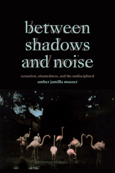 Hardcover Between Shadows and Noise: Sensation, Situatedness, and the Undisciplined Book