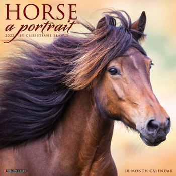 Calendar Horse: A Portrait 2022 Wall Calendar Book