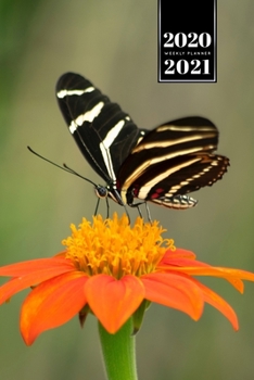 Butterfly Butterflies Insect Week Planner Weekly Organizer Calendar 2020 / 2021 - Zebra Longwing: Cute Wildlife Animal Pet Bullet Journal Notebook Diary in 6” x 9” Inch Pocket Size