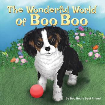 Paperback The Wonderful World Of Boo Boo Book