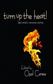 Paperback Turn Up the Heat: Best Erotic Romance Novellas Book