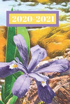 Paperback Purple Wild Flower Iris Dated Calendar Planner 2 years To-Do Lists, Tasks, Notes Appointments for Women: ............Small Pocket/Purse Size at-A-Glan Book