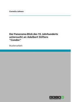 Paperback Der Panorama-Blick des 19. Jahrhunderts untersucht an Adalbert Stifters "Condor" [German] Book