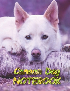 Paperback Canaan Dog NOTEBOOK: Notebooks and Journals 110 pages (8.5"x11") Book