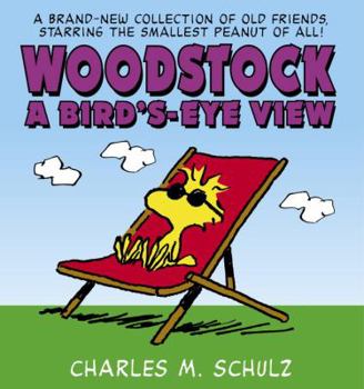 Paperback Woodstock a Bird's-Eye View Book