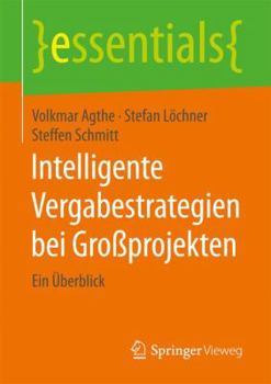 Intelligente Vergabestrategien Bei Grossprojekten: Ein Uberblick