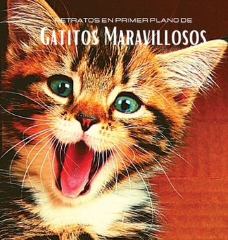 Hardcover Retratos en Primer Plano de Gatitos Maravillosos: ?lbum de fotos en color con preciosos gatitos. Idea de regalo para los amantes de los peque?os felin [Spanish] Book