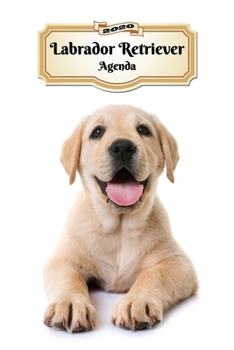 2020 Labrador Retriever Agenda: 107 Pagine - Dimensioni DIN A5 - Pianificatore Settimanale - 12 Mesi - Due Pagine Per Settimana - Calendario - Diario - Cane