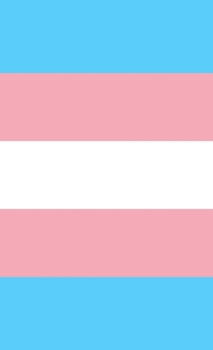 Hardcover Transgender Pride Flag Sketchbook Book