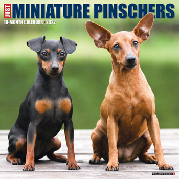 Calendar Just Miniature Pinschers 2022 Wall Calendar (Dog Breed) Book