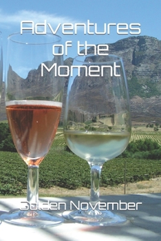 Paperback Adventures of the Moment Book