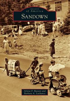 Paperback Sandown Book
