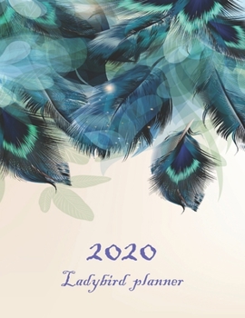 2020 LADYBIRD PLANNER: 2020 Planner Weekly and Monthly : 2020 Pretty Simple Planners : 12-month calendar plan January 2020 to December 2020