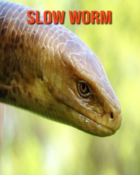 Slow Worm: Amazing Facts about Slow Worm