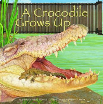 Library Binding A Crocodile Grows Up Book