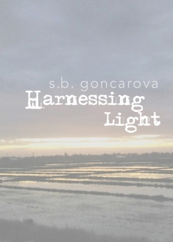 Paperback Harnessing Light Book