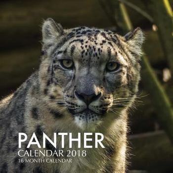 Panther Calendar 2018: 16 Month Calendar