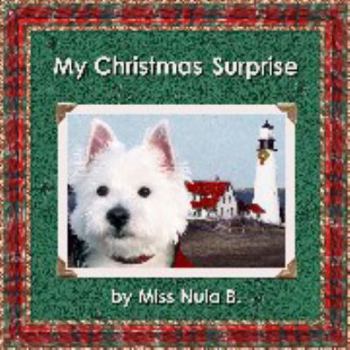 Perfect Paperback My Christmas Surprise Book